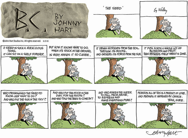 B.C. Print: The Seed